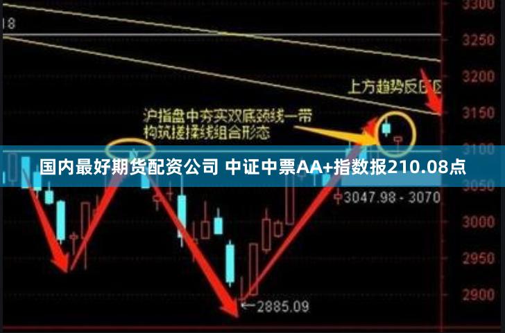 国内最好期货配资公司 中证中票AA+指数报210.08点