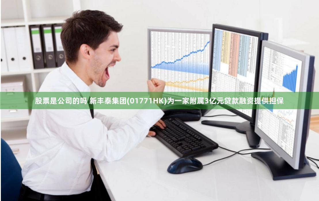 股票是公司的吗 新丰泰集团(01771HK)为一家附属3亿元贷款融资提供担保